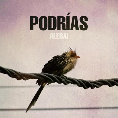 Podrías