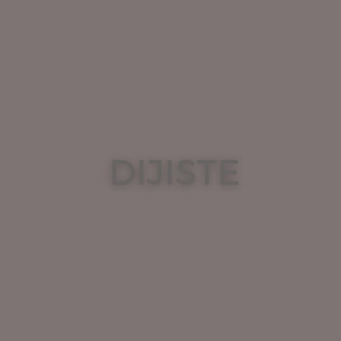 Dijiste