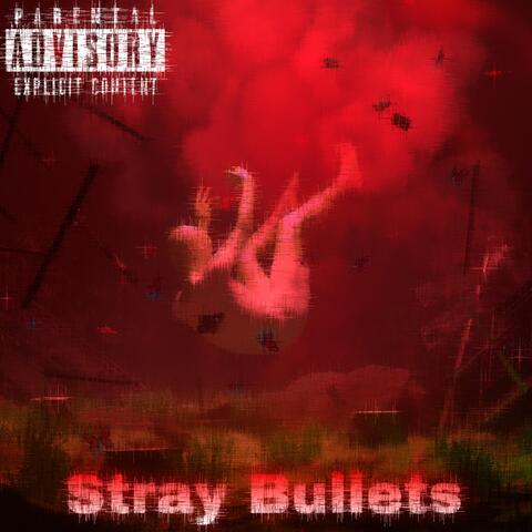 Stray Bullets