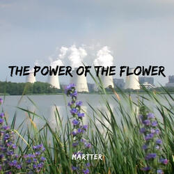 The Power of the Flower