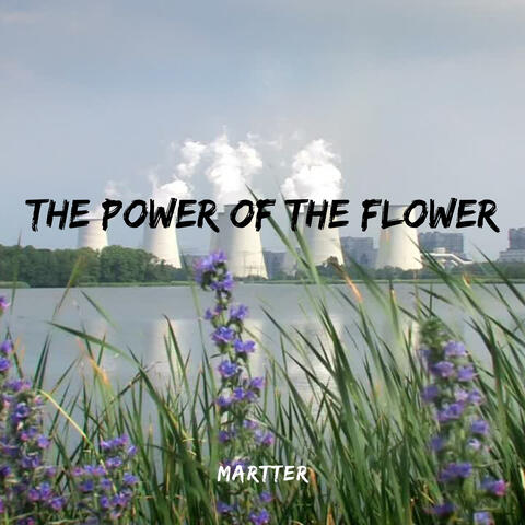 The Power of the Flower