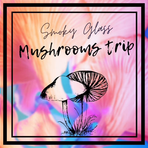 Mushrooms Trip