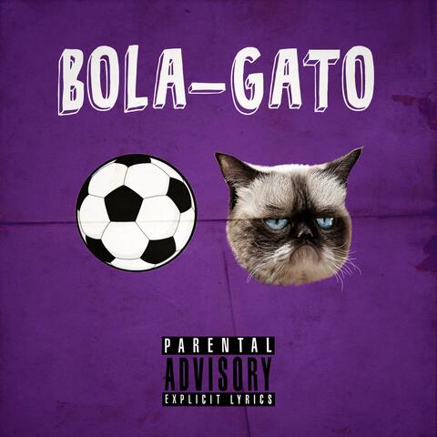 Bola-Gato