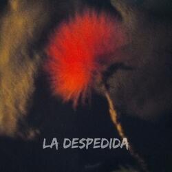 La Despedida