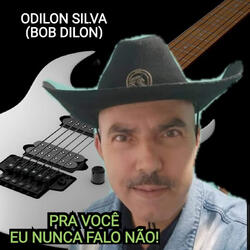 Pra Você Eu Nunca Falo Não