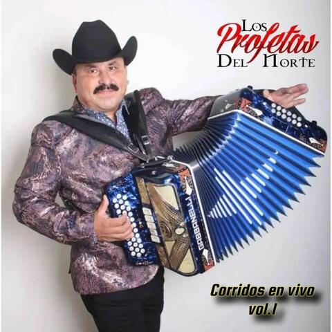 Corridos en Vivo Vol.1