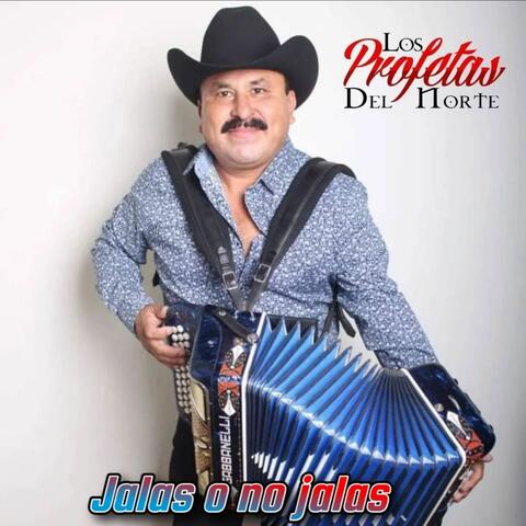 Jalas o No Jalas