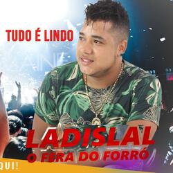 Tudo É Lindo
