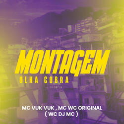 Montagem Olha Cobra