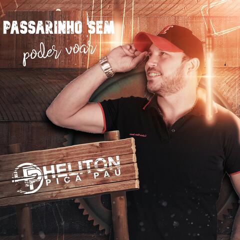 Passarinho Sem Poder Voar
