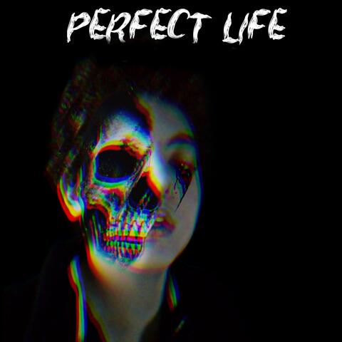 Perfect Life