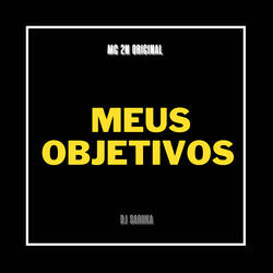 Meus Objetivos