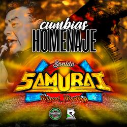 Muchacha Enamorada en Vivo Sonido Samurai