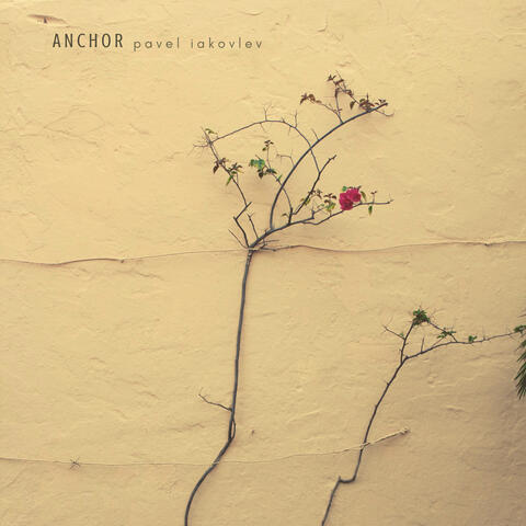 Anchor