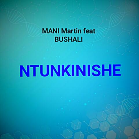 NTUNKINISHE