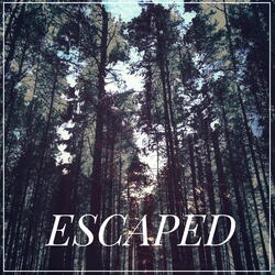 When the Dreamers Leave This Lands