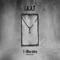 Woo Intro