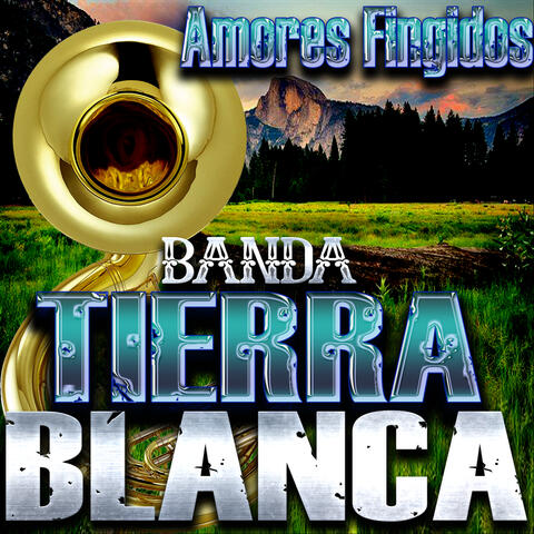 Amores Fingidos