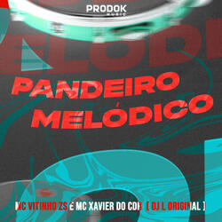 Pandeiro Melodico
