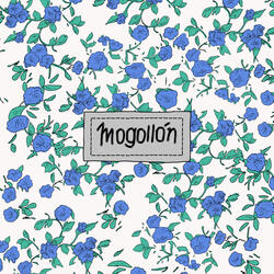 Mogollón