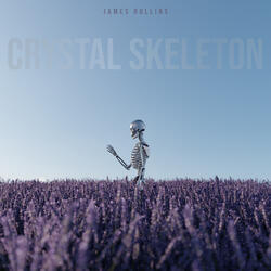 Crystal Skeleton