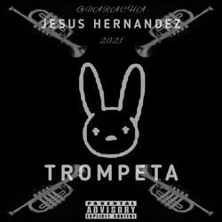 Trompeta Aletosa - (Guaracha, Aleteo, Zapateo)