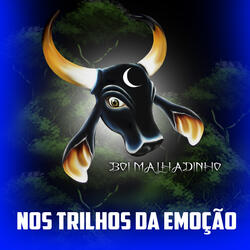 Nos Trilhos da Emoção