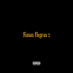 Rosas Negras 2