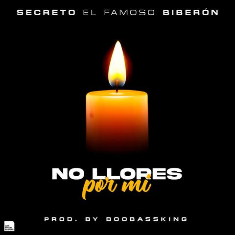 No Llores por Mi