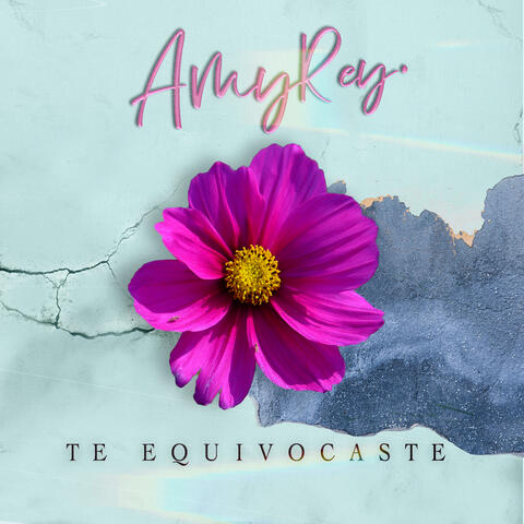 Te Equivocaste