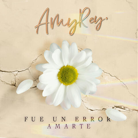 Fue un Error Amarte