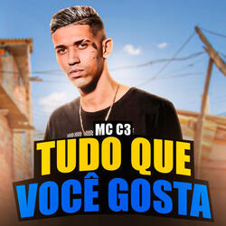 Tudo Que Você Gosta
