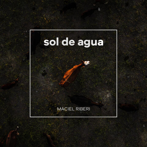 Sol de Agua