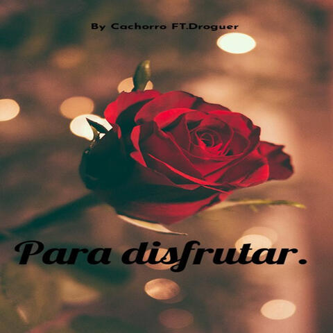 Para Disfrutar