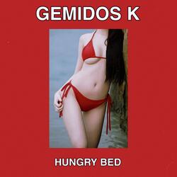 Gemidos K