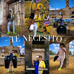 Te Necesito