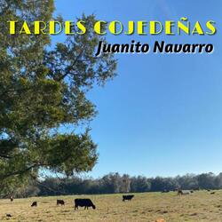 El Burro de Don Cipriano