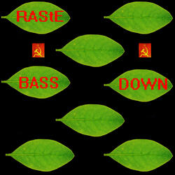 Bass Down