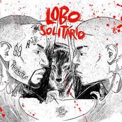 Lobo Solitário
