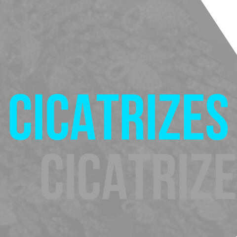 Cicatrizes
