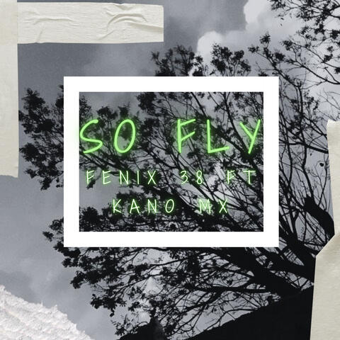So Fly