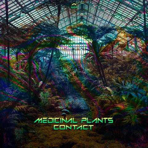 Medicinal Plants