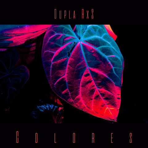Colores