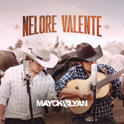 Nelore Valente