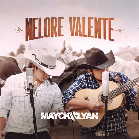 Nelore Valente