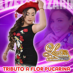 Tributo a Flor Pucarina : Ayrampito / Para Qué Quiero la Vida / Tu No Más Tienes la Culpa