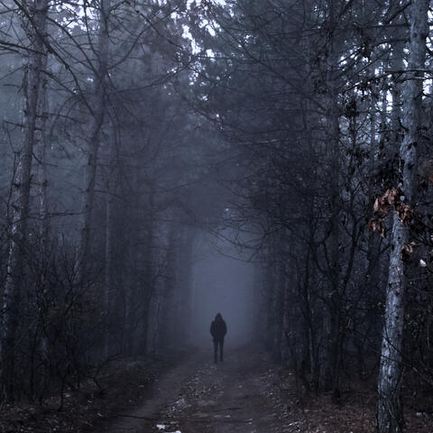 В бездну