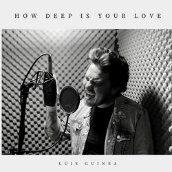 How Deep Is Your Love