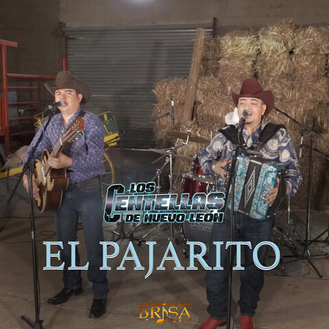 El Pajarito