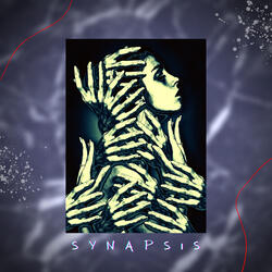 Synapsis